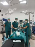 Dt. Semih Bozkurt ve Özge hanım Tarsus Devlet Hastanesi'nde Engelli bireylere yönelik genel anestezi altında Diş Tedavilerini başarılı bir şekilde  gerçekleştirmeye devam ediyorlar.